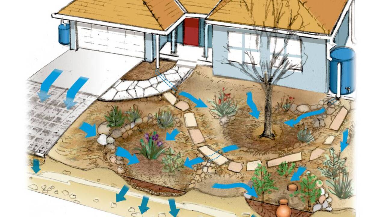 How to harvest rain for your yard