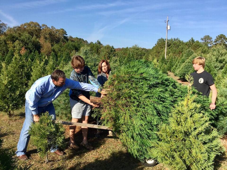 Christmas tree shopping with the Boyles family, of Bluffton
