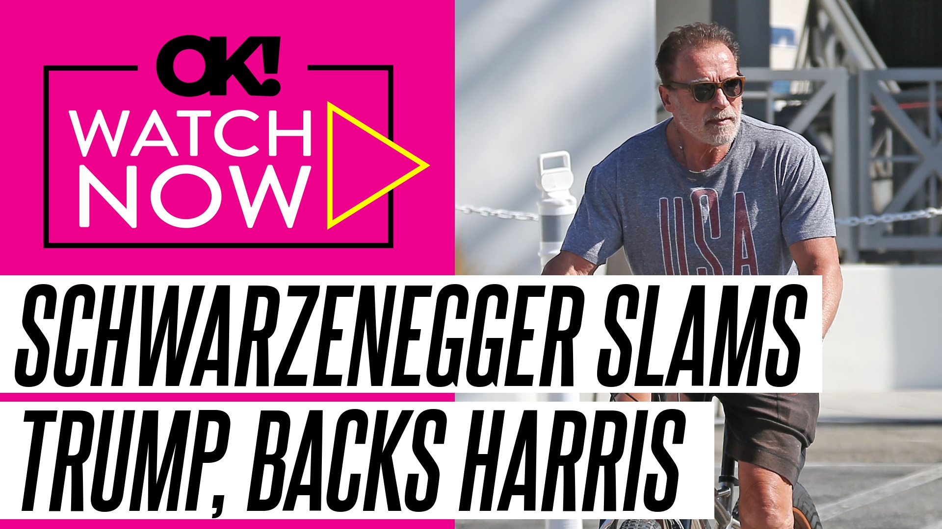 Arnold Schwarzenegger calls out ‘unpatriotic’ Donald Trump, endorses Kamala Harris