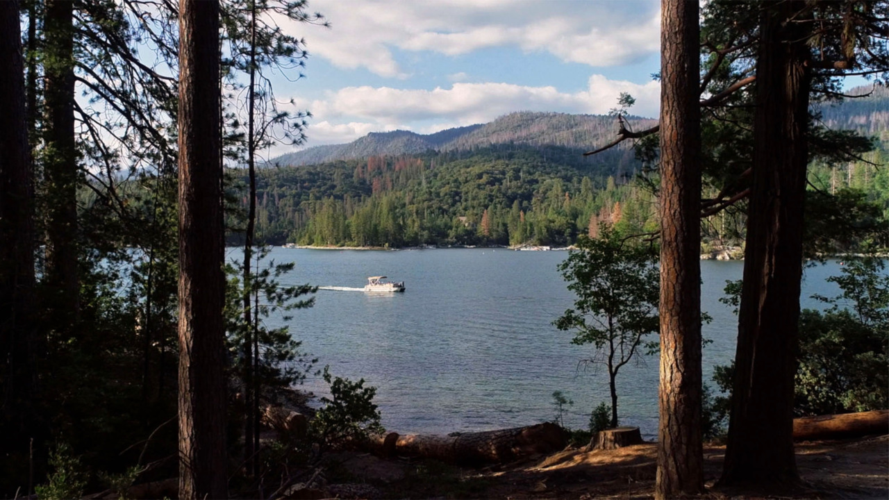 Fishing report, May 1-7: Delta striper, sturgeon bites good; Eastman, Pine Flat bass hitting