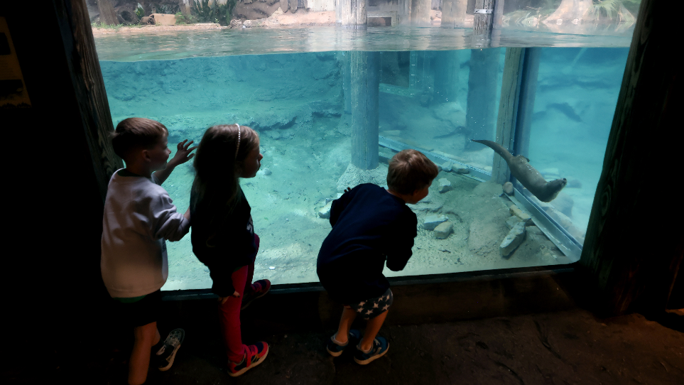 'Zoo School' provides unique experience for Fort Worth preschool-age children
