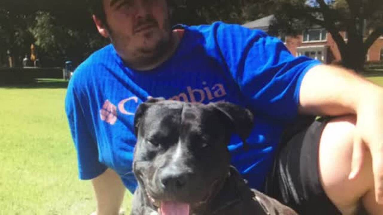 Why are volunteers searching for a pit bull in Fort Mill? Because it’s a therapy dog