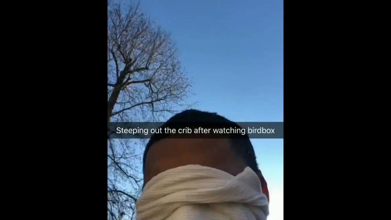 Netflix doesn’t want you to try this Bird Box Challenge