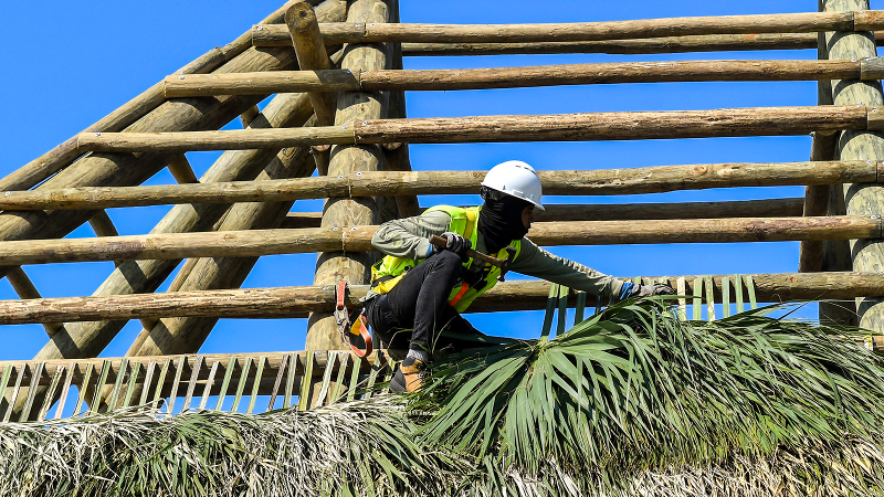 Drone video shows how Hilton Head’s Tiki Hut palm fronds roof is built