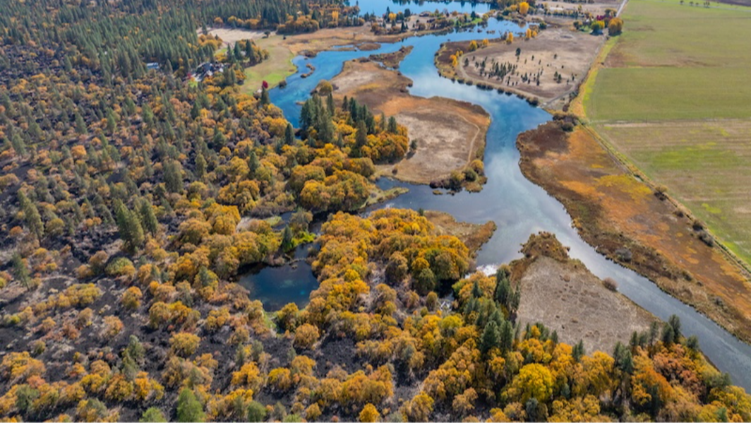 Inside Meg Whitman’s NorCal ranch listing: Trophy trout and flyway hunting