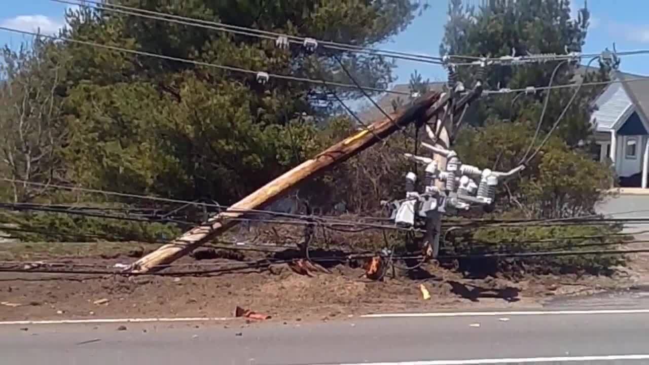 Fuel truck crashes into telephone pole after bird flies into driver’s head