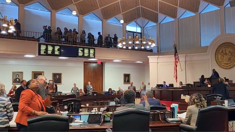 Protesters interrupt NC Senate vote on stripping power from elected Democratic leaders