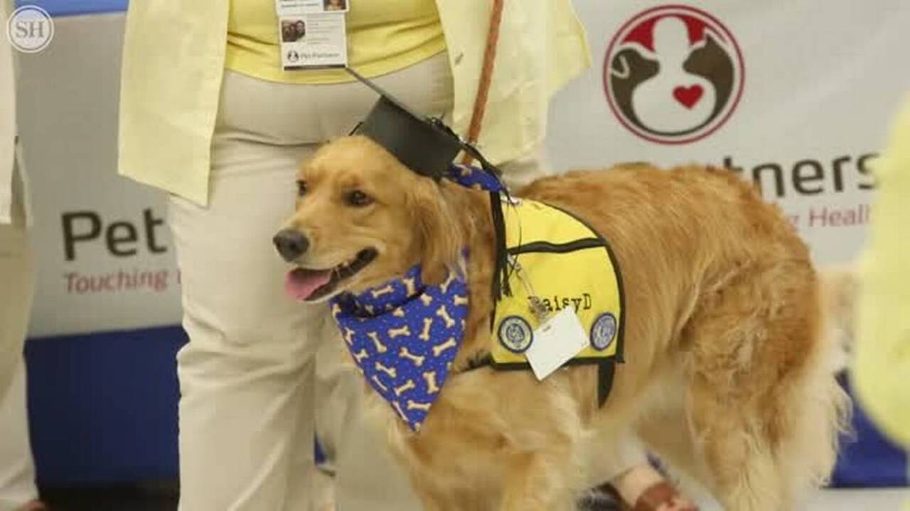 Readers views: Let’s hear it for therapy dogs + How about a new mortgage finance law?