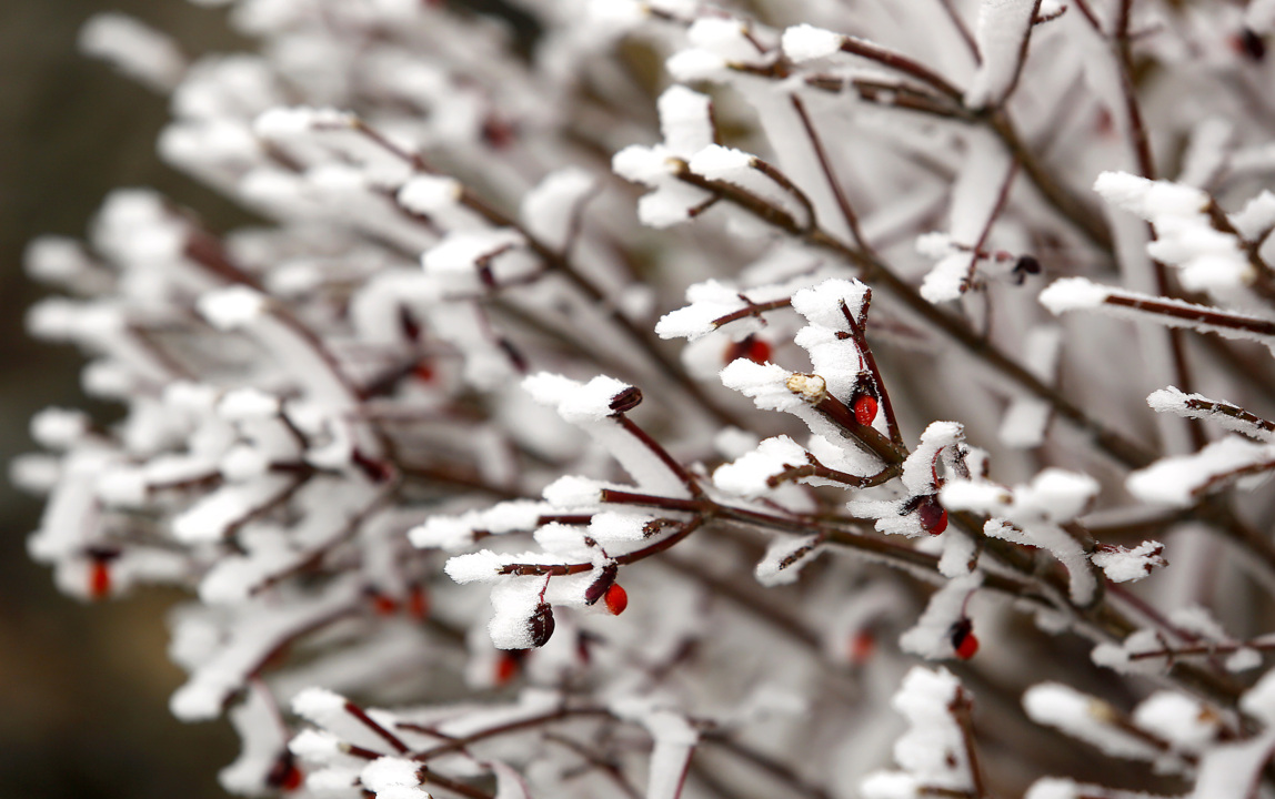 The science of frost formation