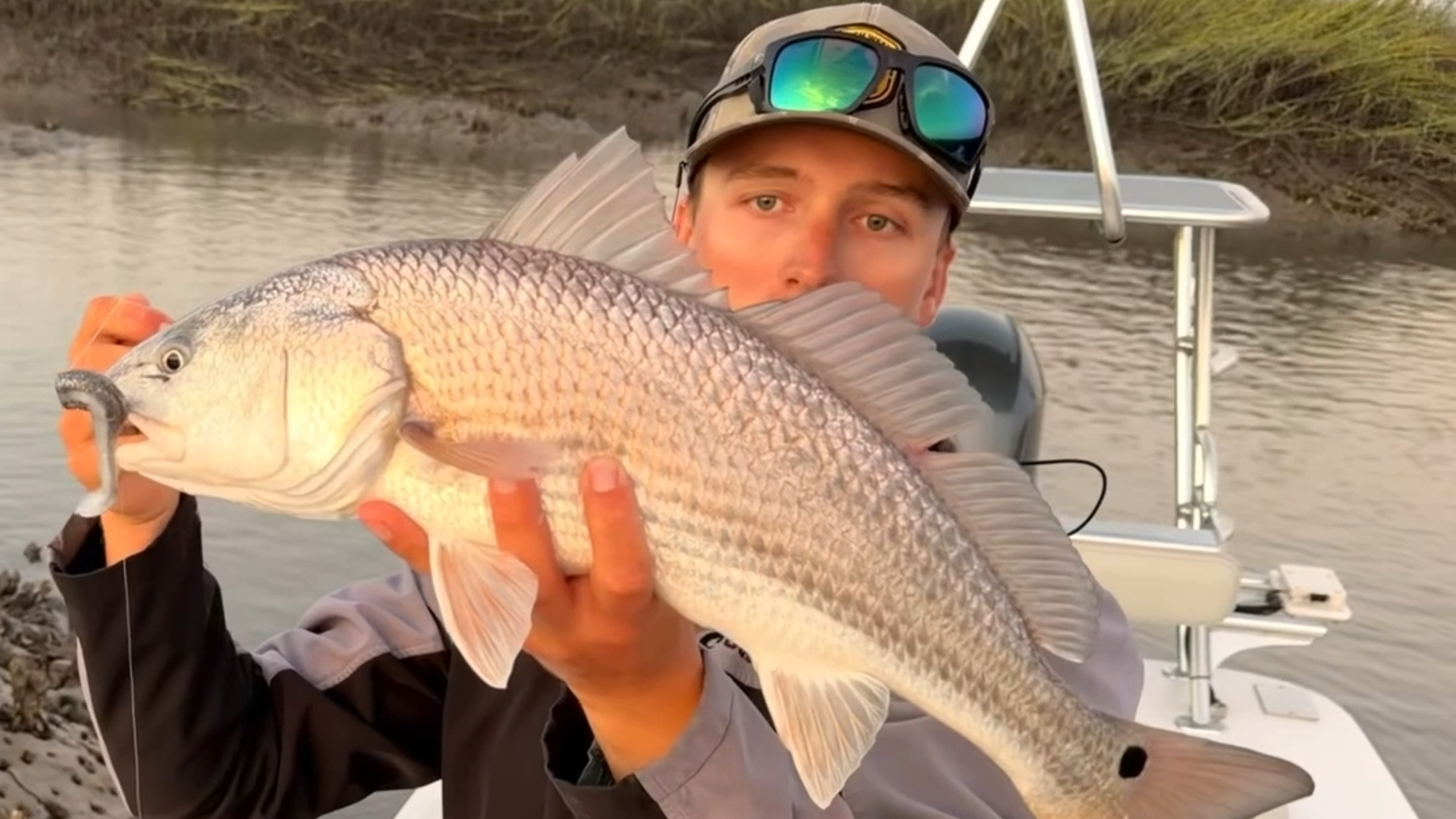 SC's most popular salt water sportfish is overfished, new limits enacted
