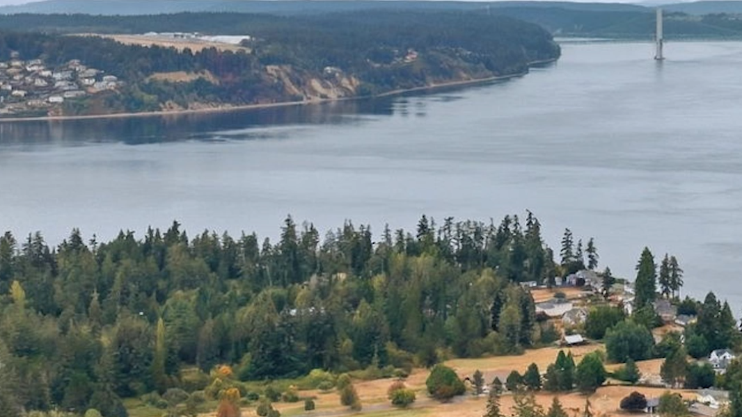 Former Fox Island Christmas tree farm to become homes