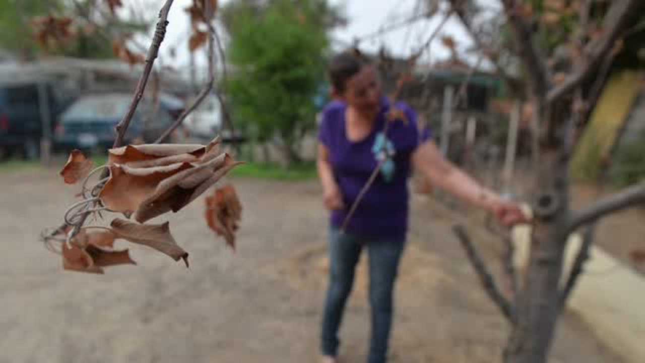 Farmworker endures drought while caring for sick husband