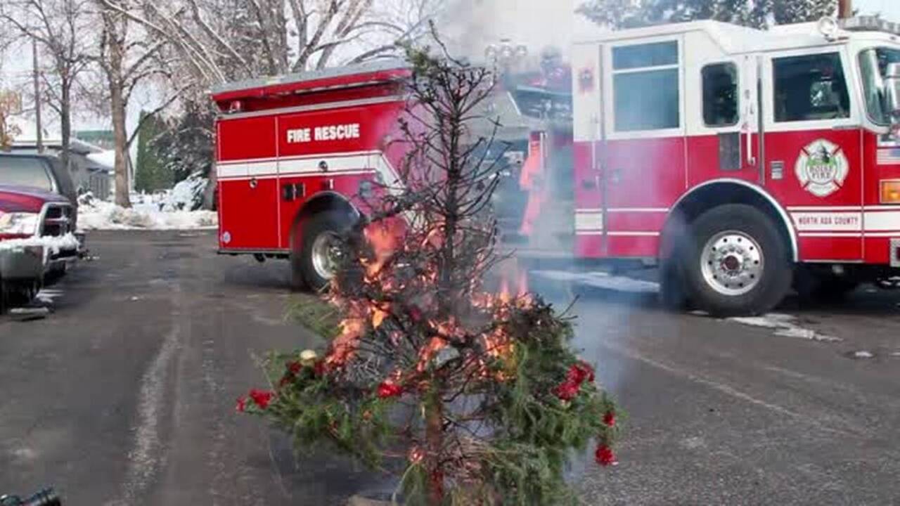 How to keep your Christmas tree from turning into a tragedy