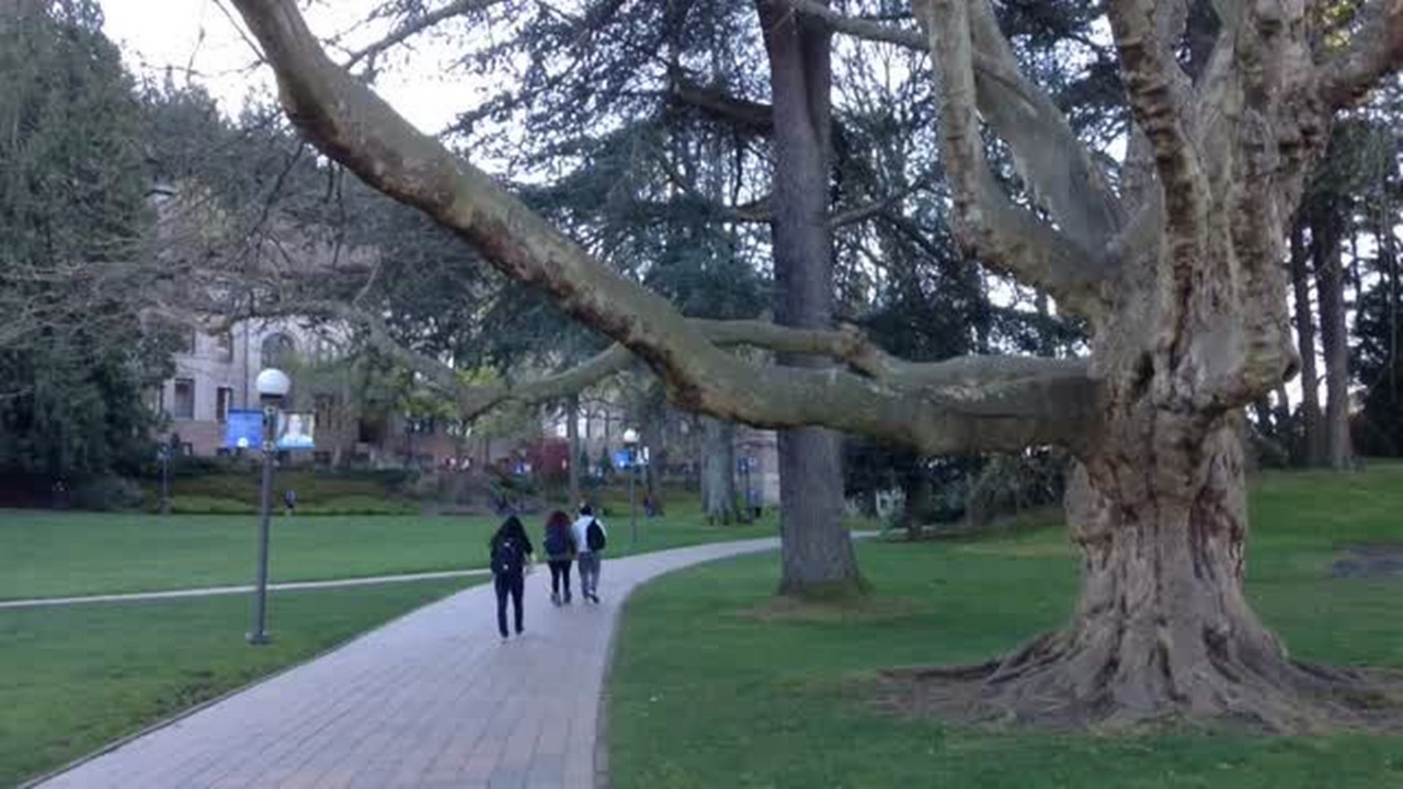 Japanese culture, concert for kids, and a 5K with the cops