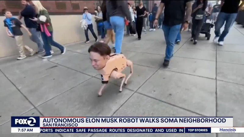 See realistic Elon Musk head on robot strutting around San Francisco