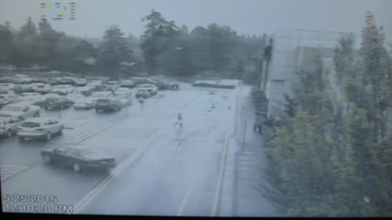 Video shows tussle between Macy’s employee, alleged robber