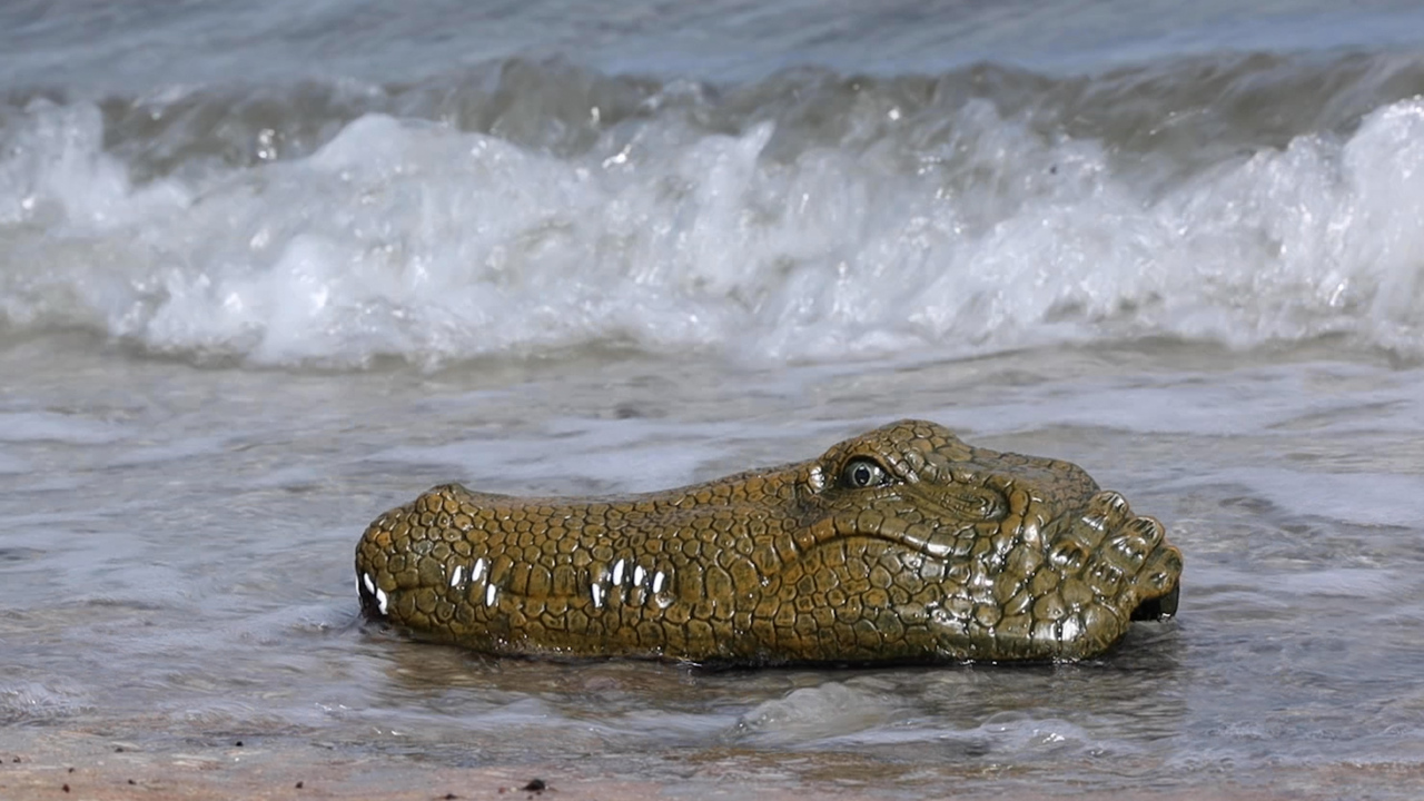 Dave Barry induces panic while controlling remotely his crocodile boat