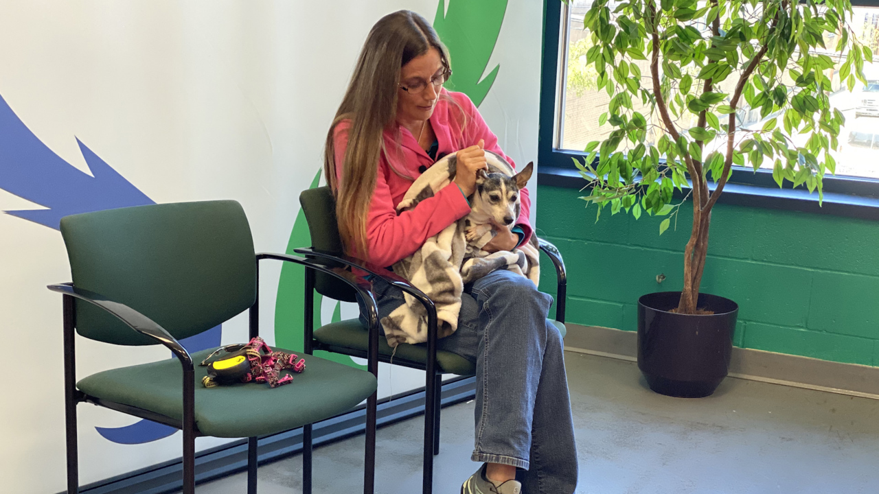 12 years and 1,000 miles between them, Florida pet owner reunites with her pet Dutchess