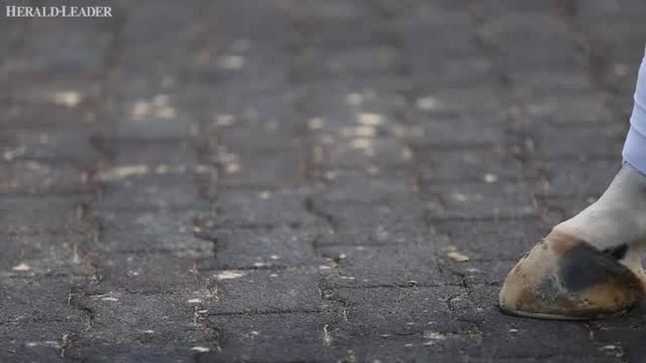 How to bet the Kentucky Derby