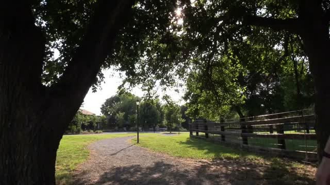 Local blackberry farm offers unique dinner experience
