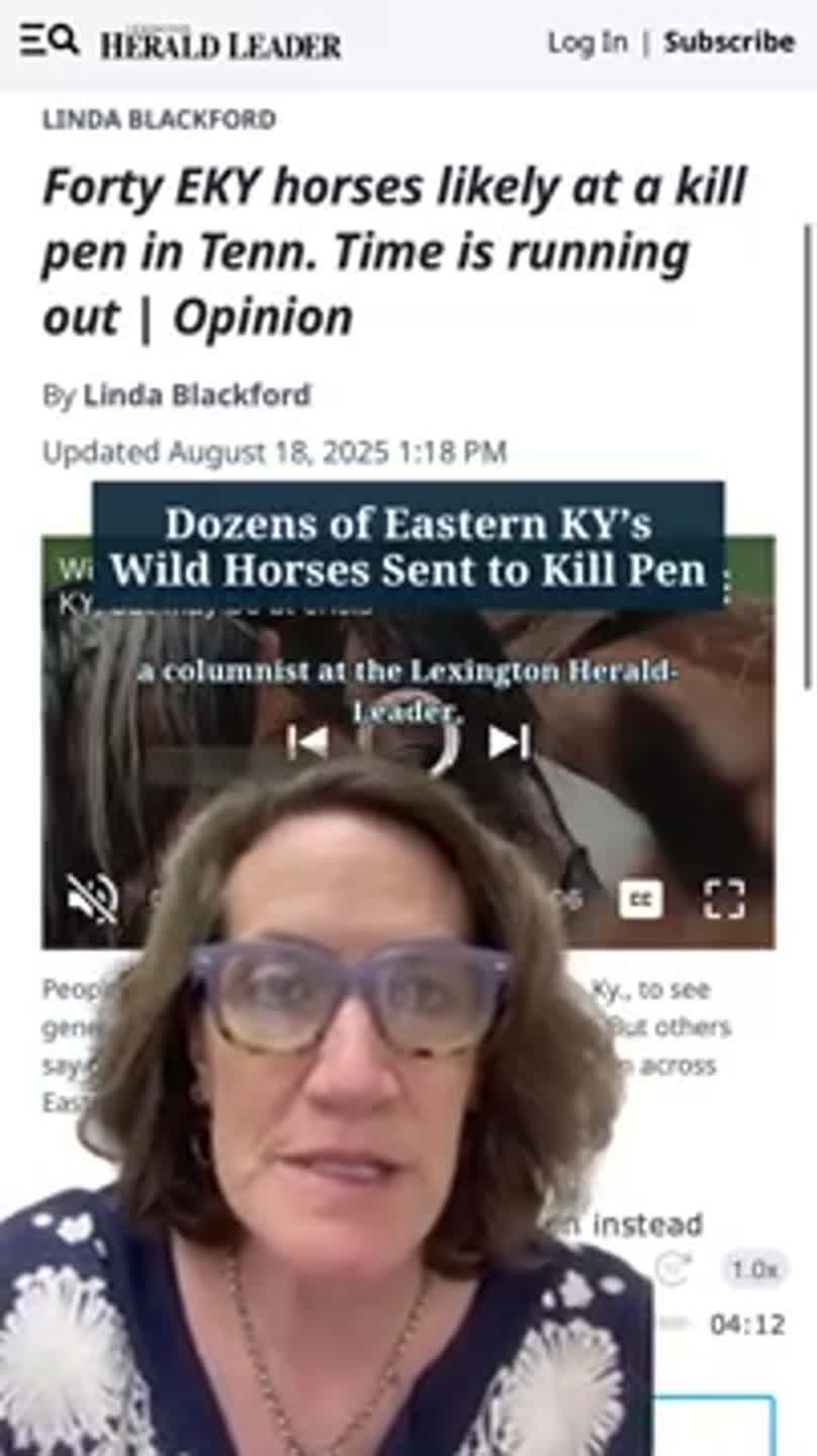 Dozens of Eastern KY’s Wild Horses Sent to Kill Pen