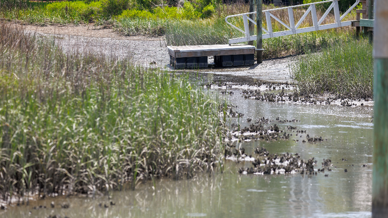 Plans for dredging Murrells Inlet have faced controversy. Here's why.