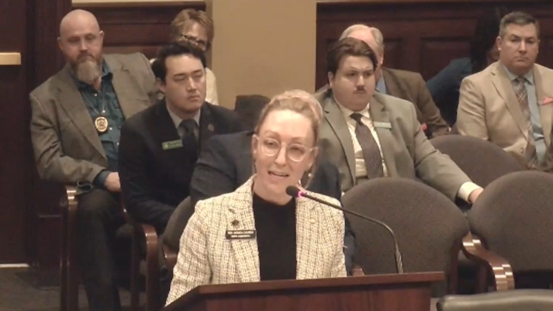 Idaho legislator presents bill decrying political violence