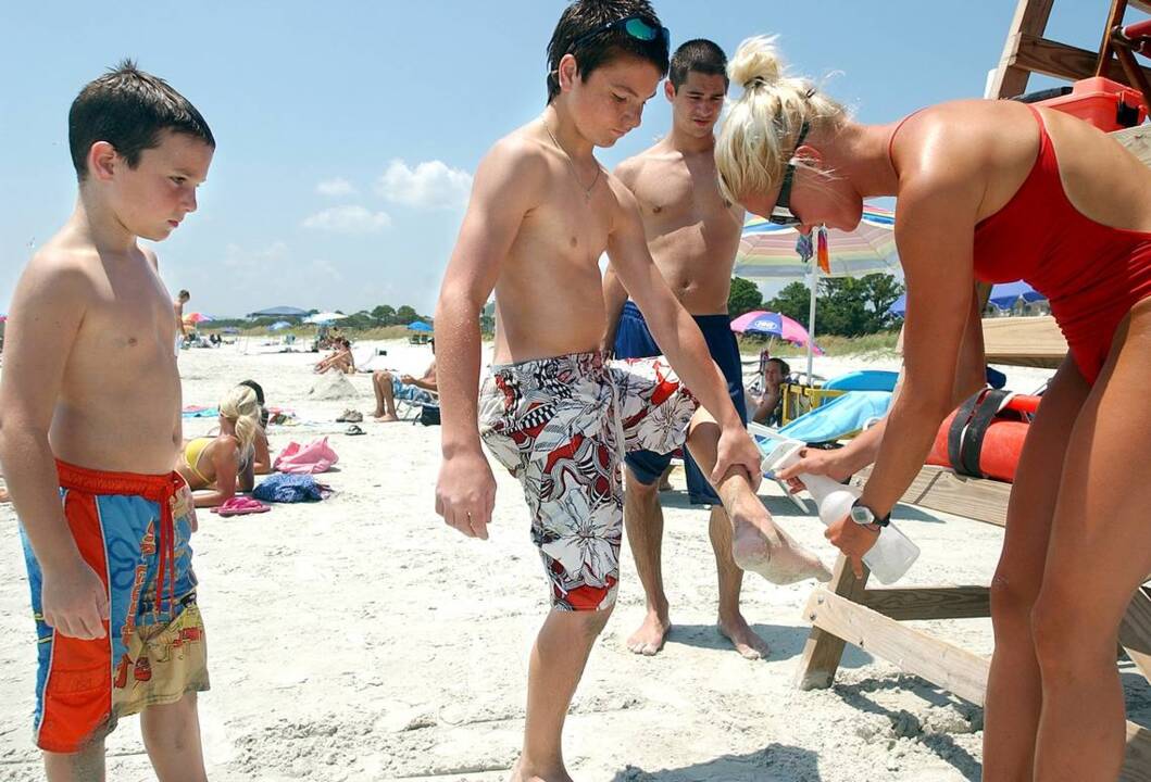 What to do if you encounter a jellyfish or stingray at the beach