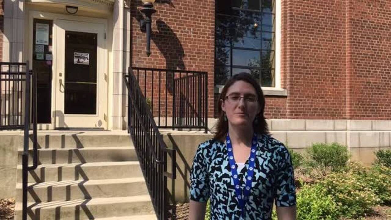 Repairs needed to save historic Paris building