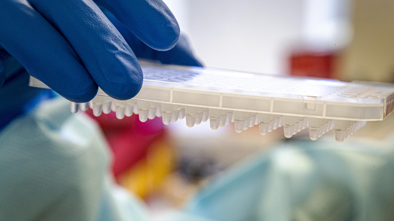Idaho wanted to test 151,000 people a week for COVID. It is falling 125,000 short
