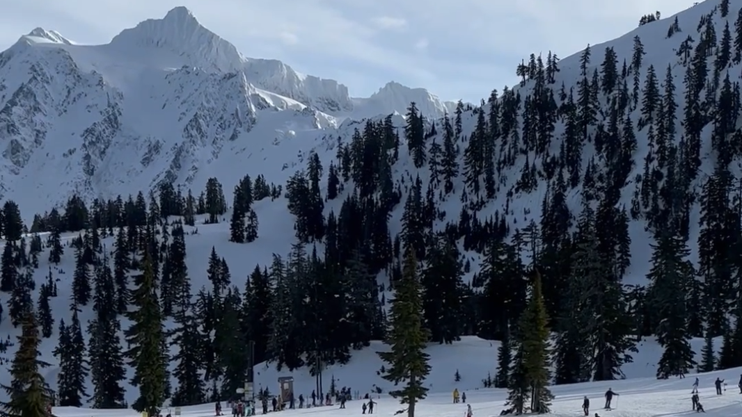 Here's what you should know about Mt. Baker Ski Area