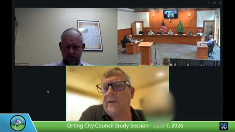 Nudity in Pierce Co. city leader’s Zoom background sparks backlash over meetings