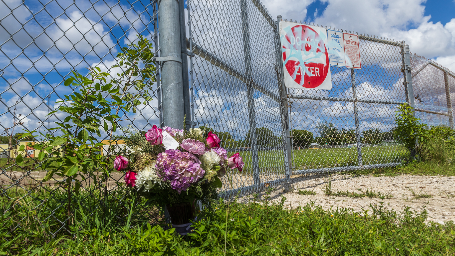 Woman killed in Miami Gardens attacked by dogs