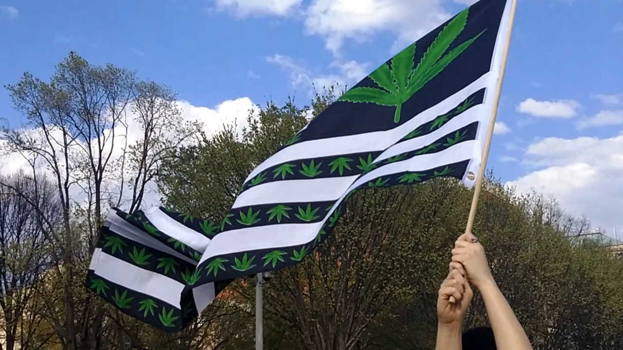 States that legalized marijuana have higher rates of mental illness, RTI study says