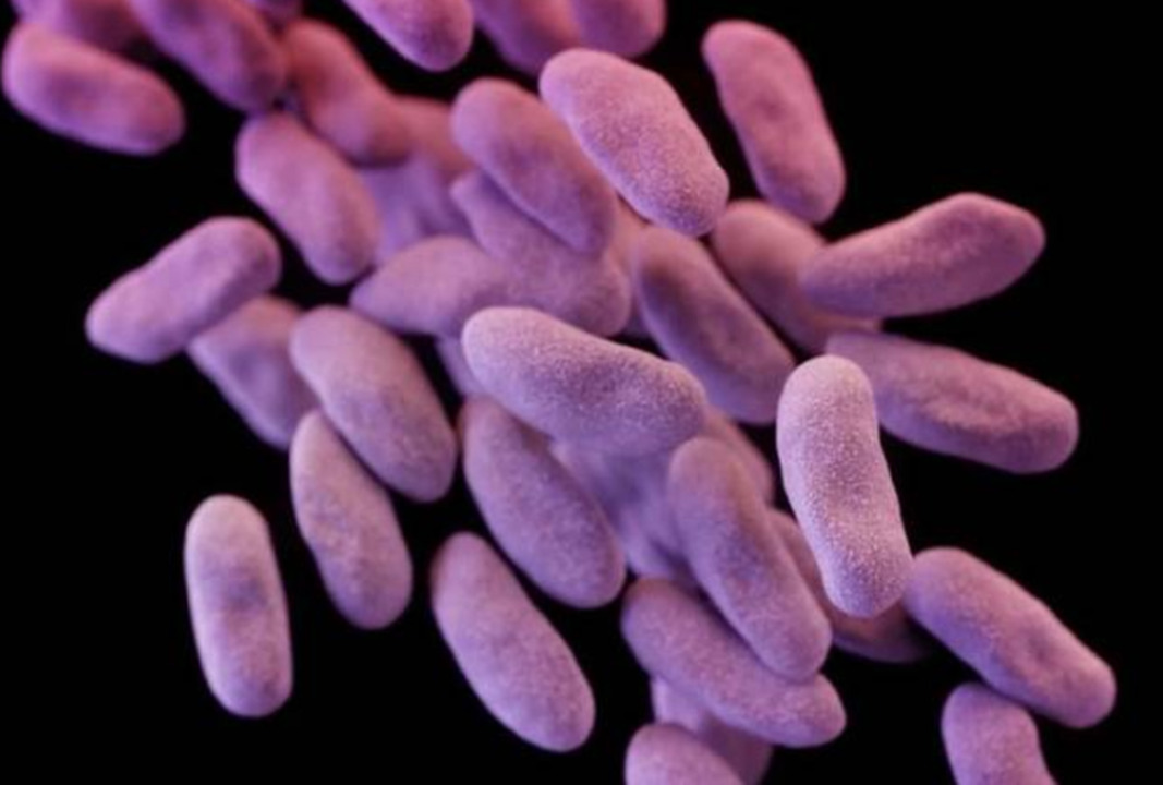 The threat of antibiotic resistance