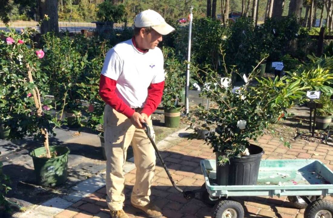 Beaufort County is in for a freeze tonight