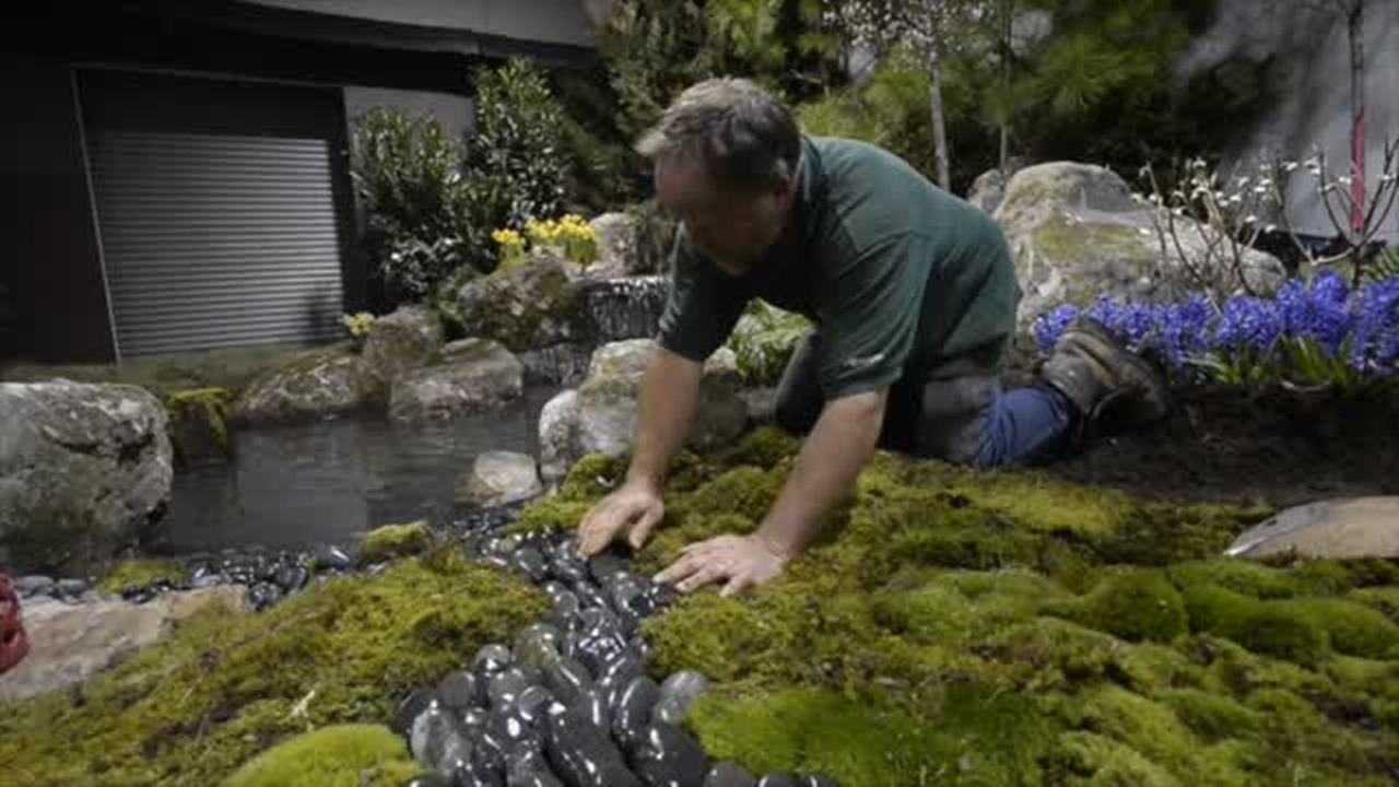 Spring comes early at Home & Garden show