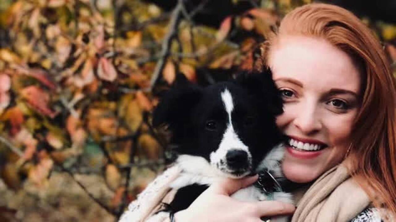 Meet Mango, the Santa Rosa rescue dog who’ll play in this year’s Puppy Bowl