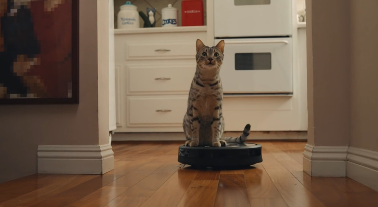 GoDaddy.com: Roomba Cats