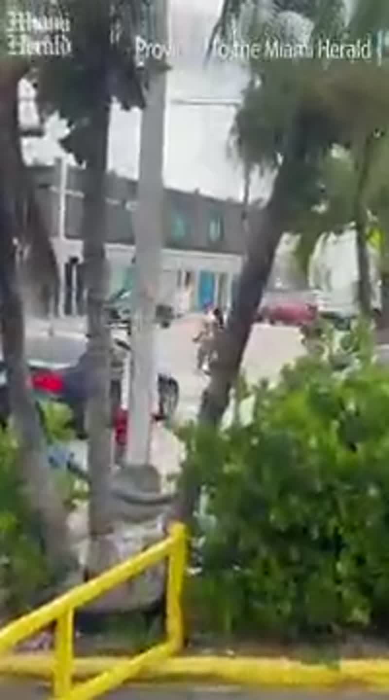 ICE arrests man in Little Haiti. It was not a raid of Chef Creole