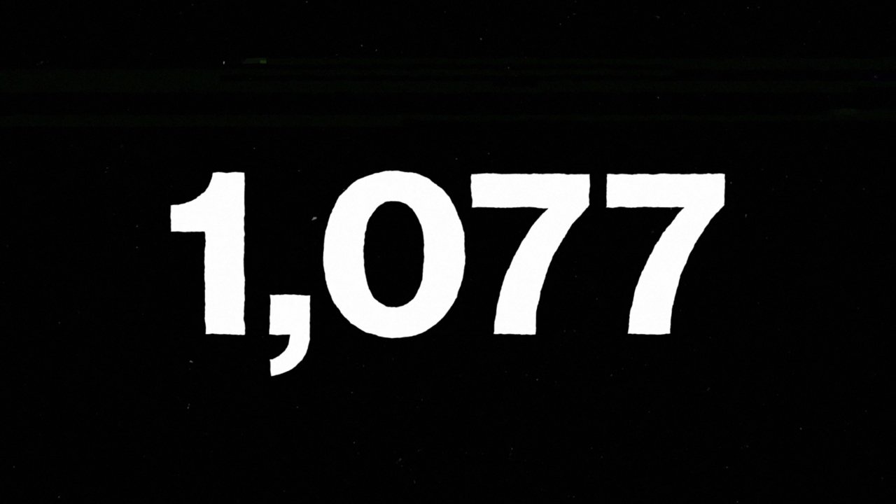More states are becoming ‘no kill.’ Animal rescue group wants NC to join them by 2025