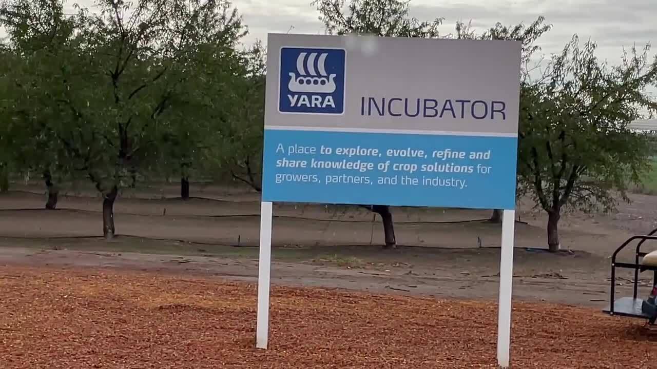 How test plots in Modesto-area almond orchard will help effort to improve soil