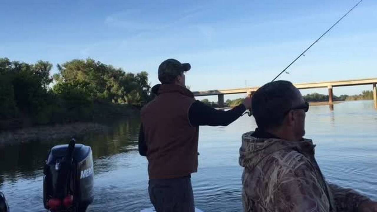 Stripers and kings are bringing smiles to anglers in some north-state waters