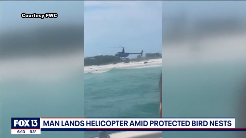 Man lands helicopter amid protected bird nests