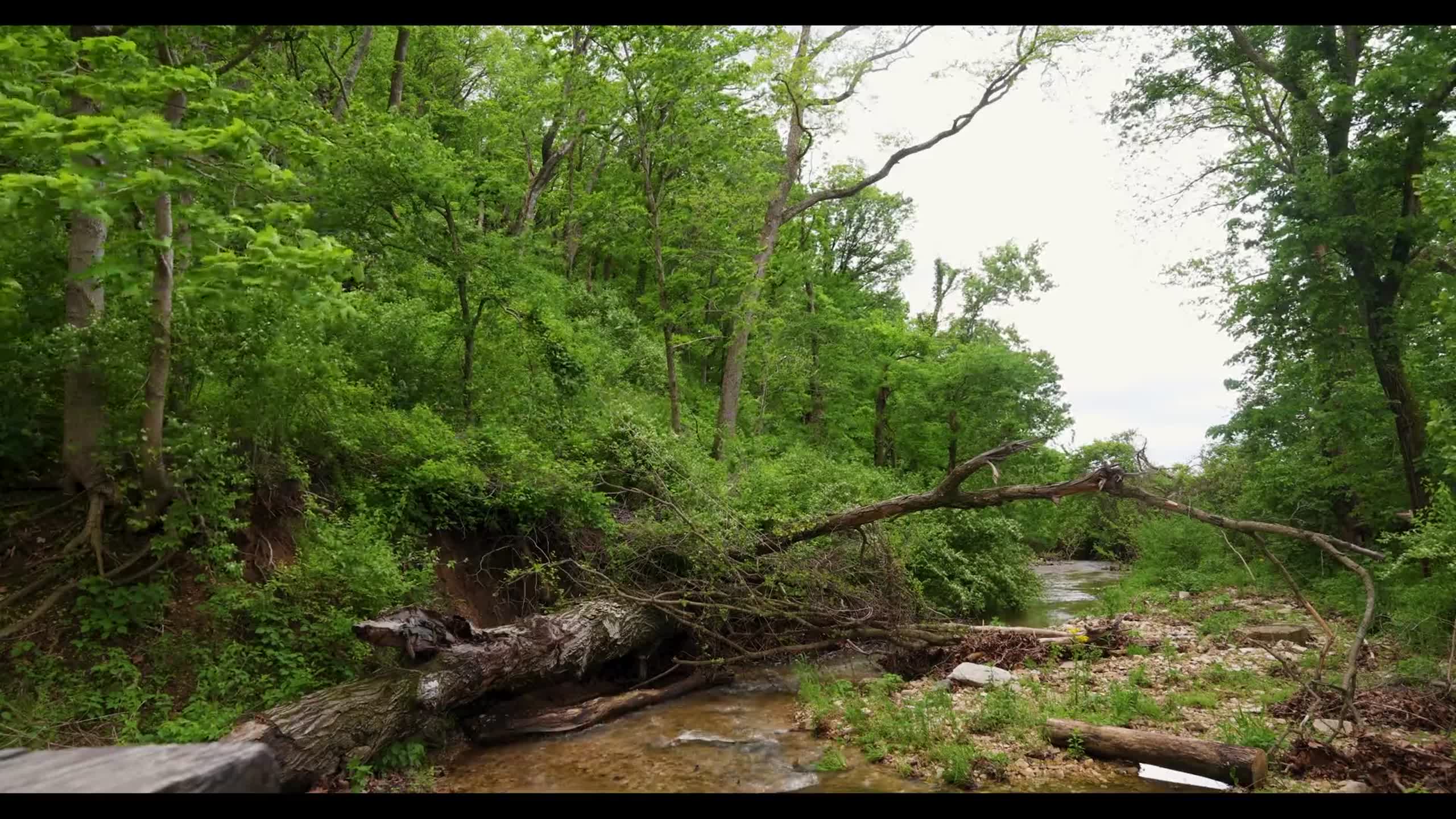 Copy of ASMR: Five quiet places in the metro-east