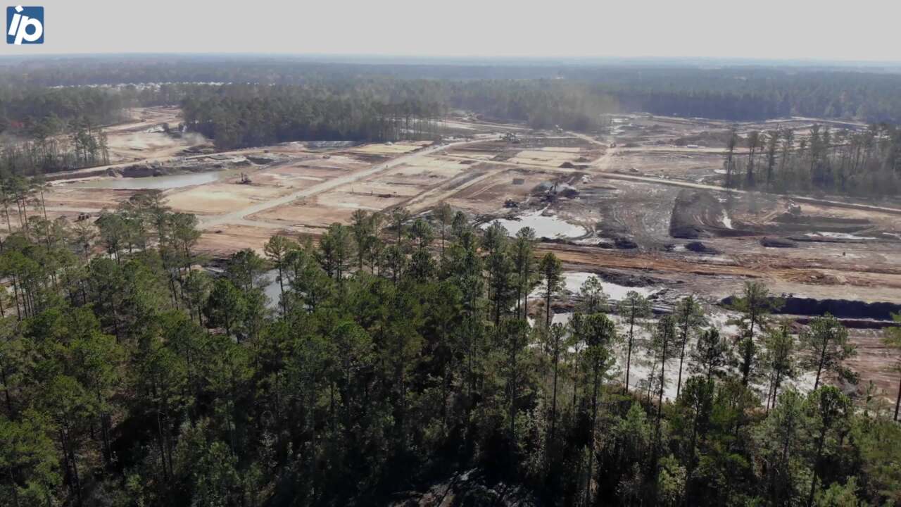 As Margaritaville Hilton Head expands, trees are removed