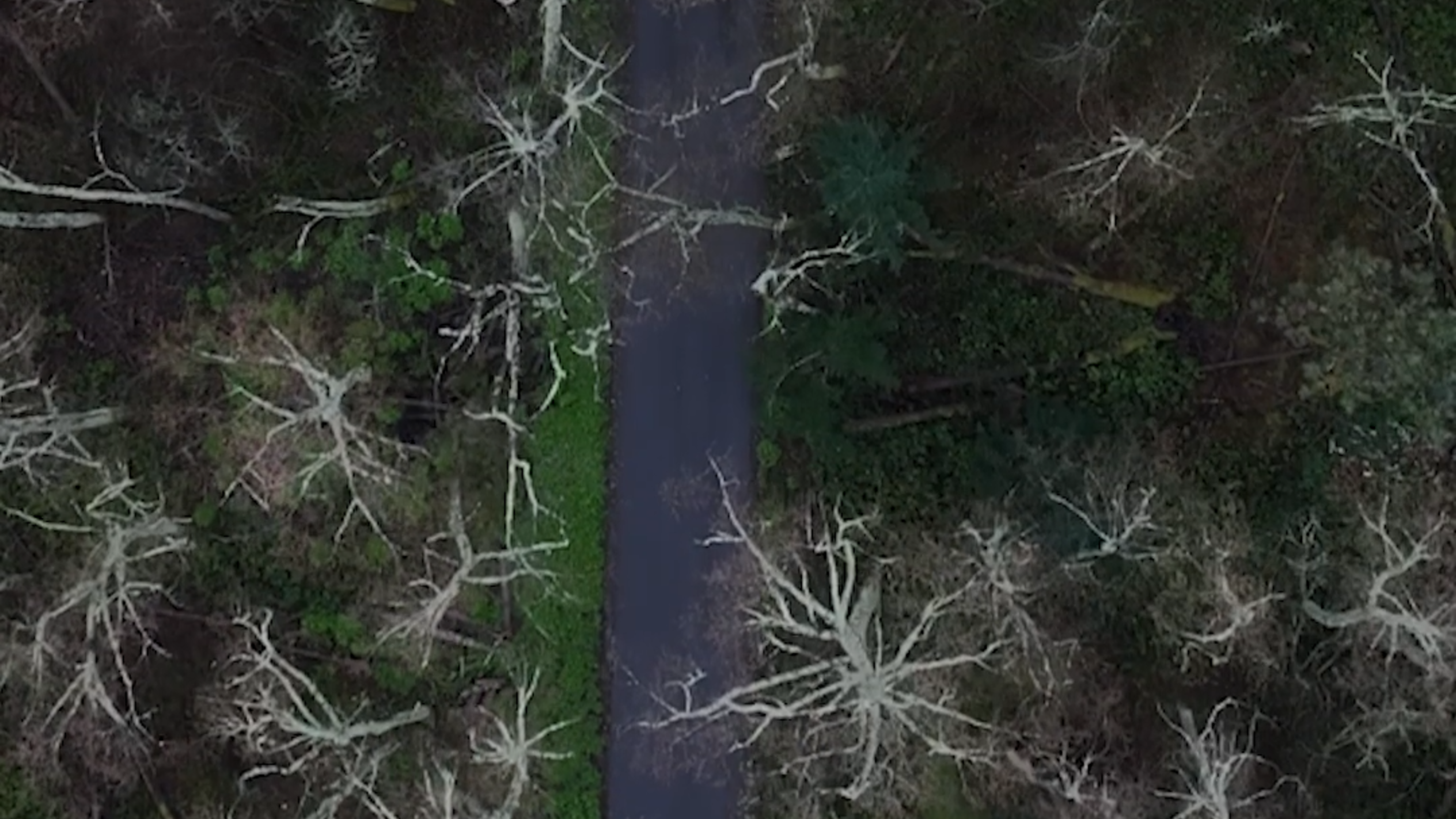 18-Acre Northeast Tacoma Site Purchased for $10.7M, What's going to be built there?