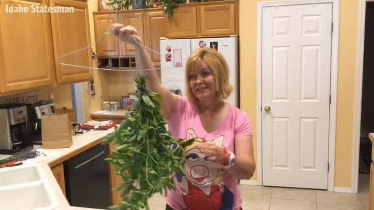 Dig In video series: Tips for drying hot peppers, basil and lavender