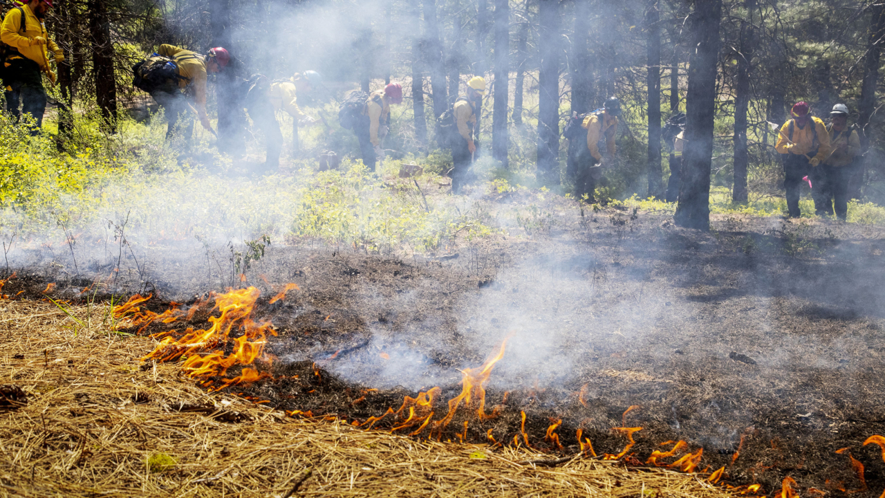 Idaho firefighters tackle their first blaze in SWIFT burn