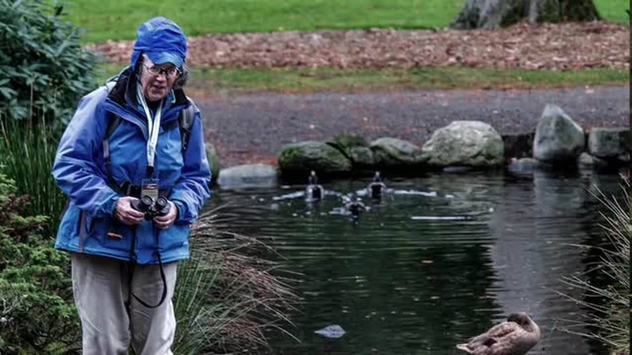 Larry LaRue: Longtime park volunteer keeps an eye on Point Defiance